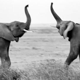 The Crucifix Moment: Slaughter of Innocence